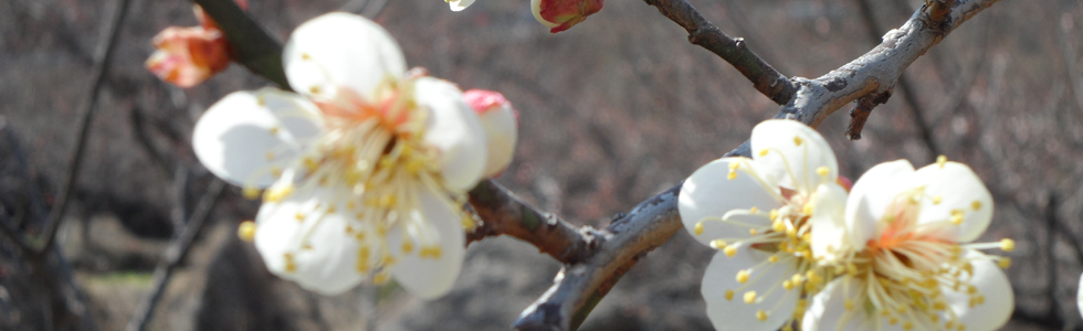 �������