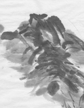 �������