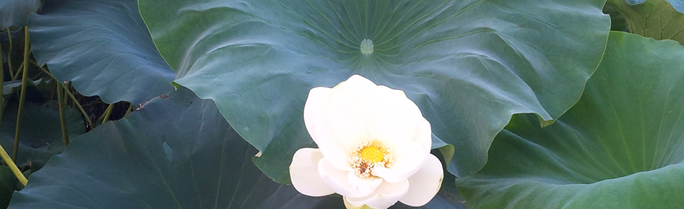 �������